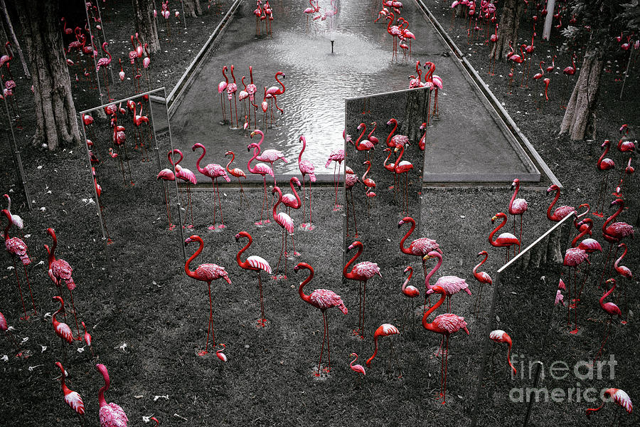 Flamingo #1 Photograph by Setsiri Silapasuwanchai