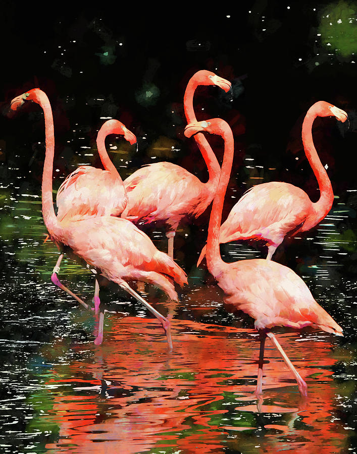 Flamingos #1 Photograph by John Freidenberg