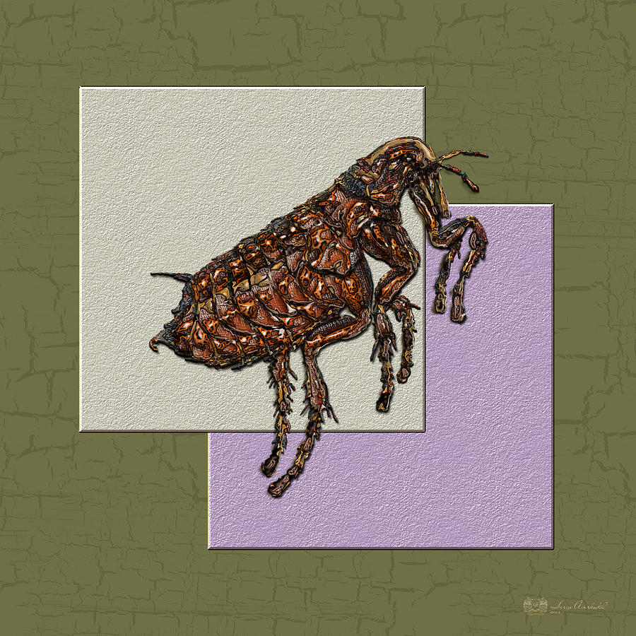 Insects Photograph - Flea on Abstract Beige Lavender and Dark Khaki #1 by Serge Averbukh