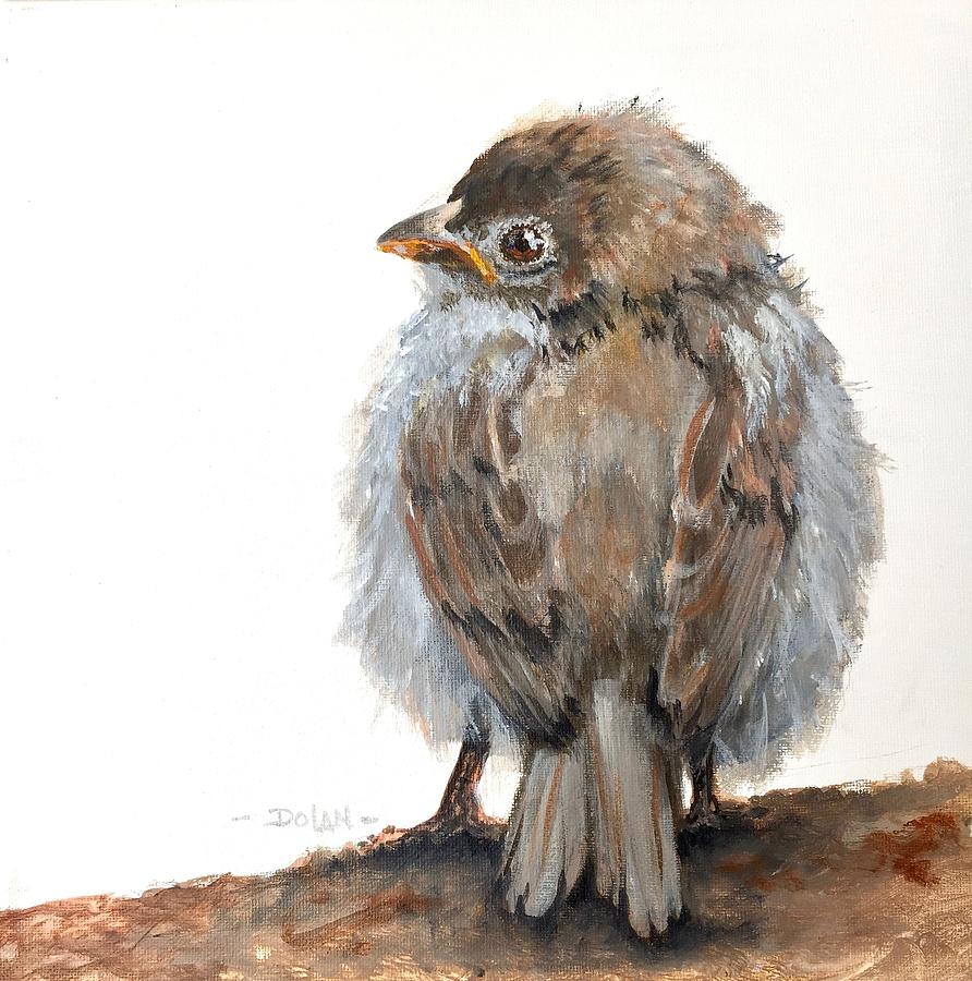 Fledgling Sparrow #1 Painting by Pat Dolan