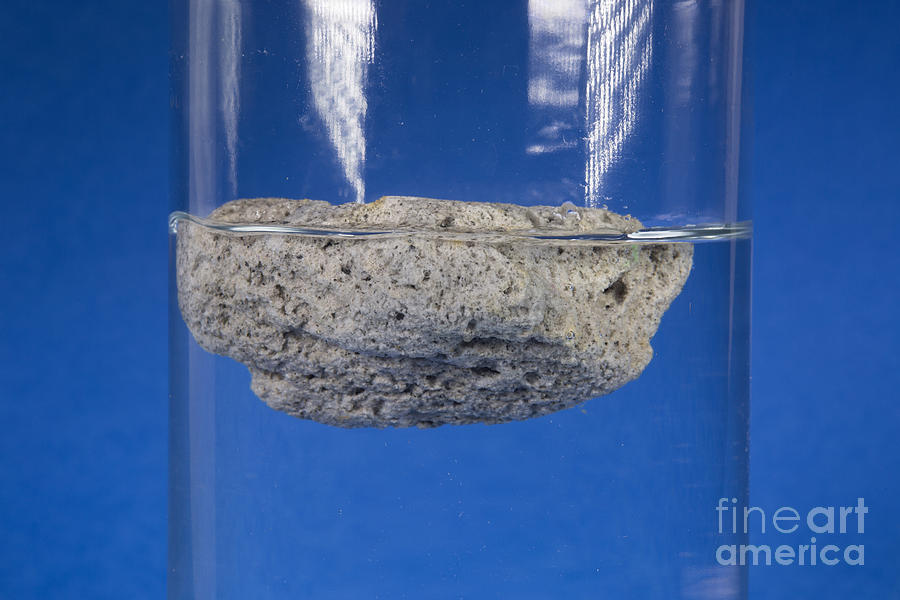 Floating Pumice #1 Photograph by Ted Kinsman