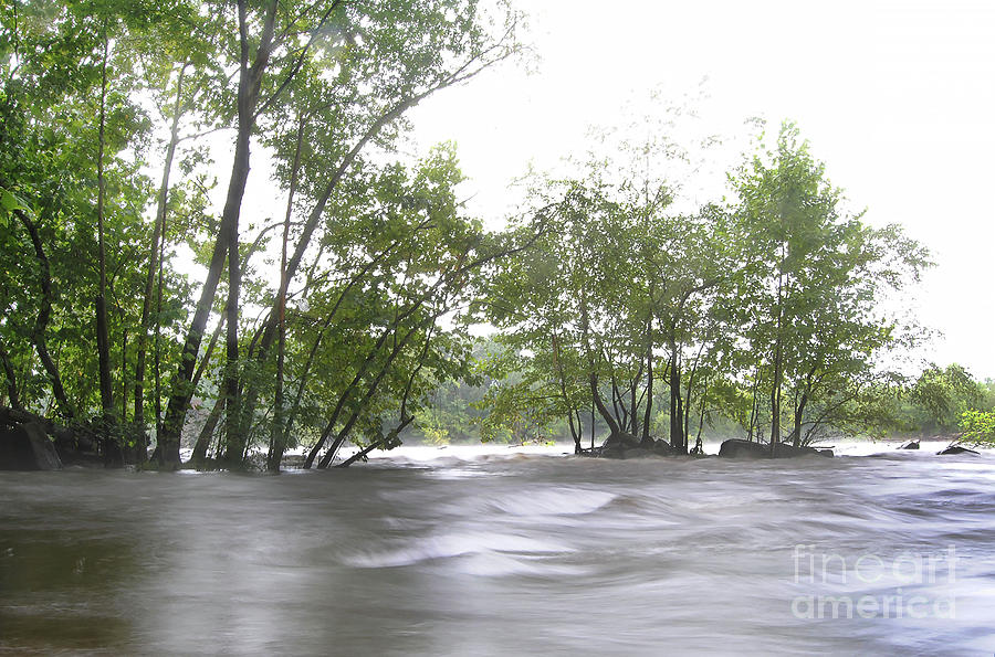 Scenic Photograph - Flood Waters #1 by Skip Willits