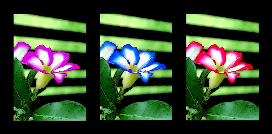 Floral Triptych #1 Painting by Bruce Nutting
