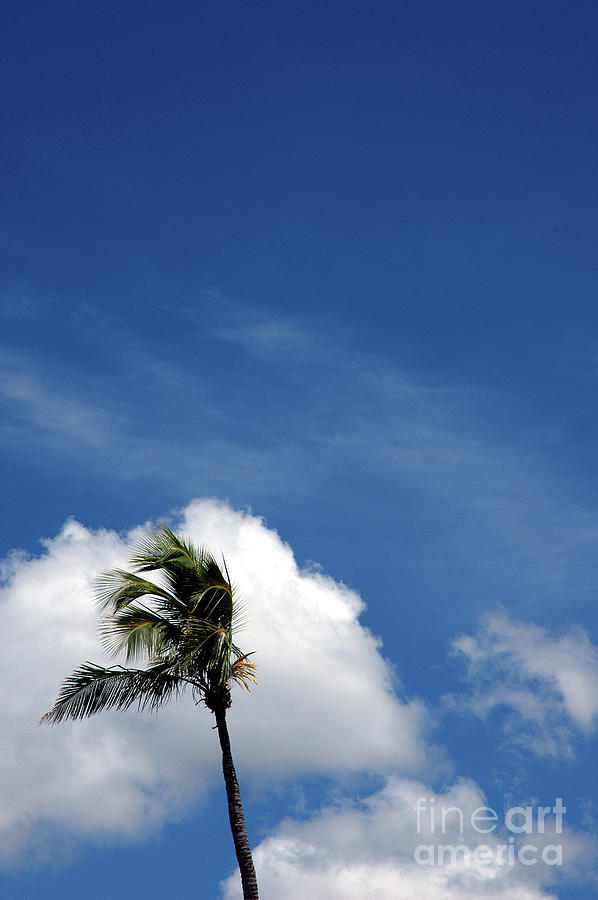 Summer Photograph - Florida Clouds #1 by Susanne Van Hulst