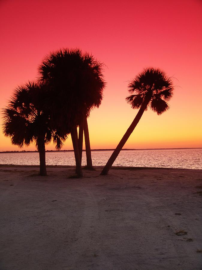 Tropical Photograph - Florida Gulf Sunset by Florene Welebny Tropical Photograph - Florida Gulf Sunset by Florene Welebny