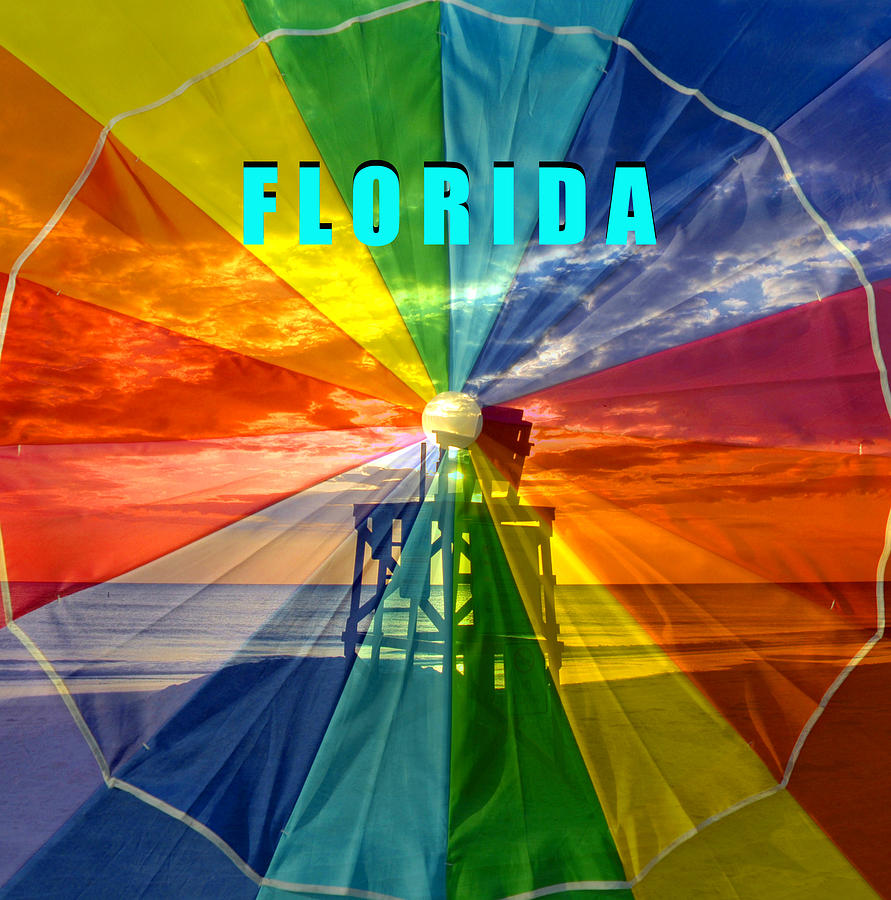 Florida living #1 Mixed Media by David Lee Thompson