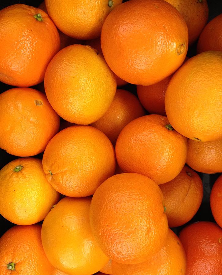 Florida Oranges #2 Photograph by Carlos Avila