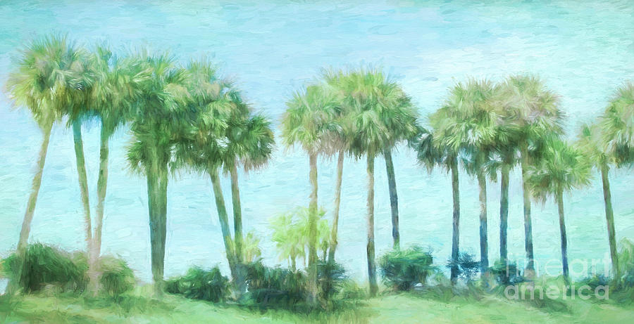 Florida Palms Digital Art by Jayne Carney