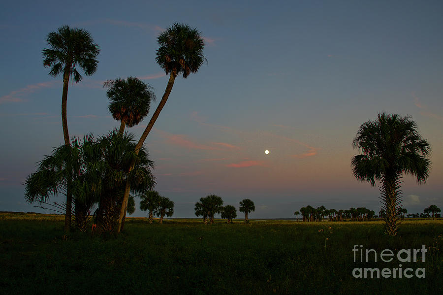 Florida Sunset #1 Photograph by Brian Kamprath
