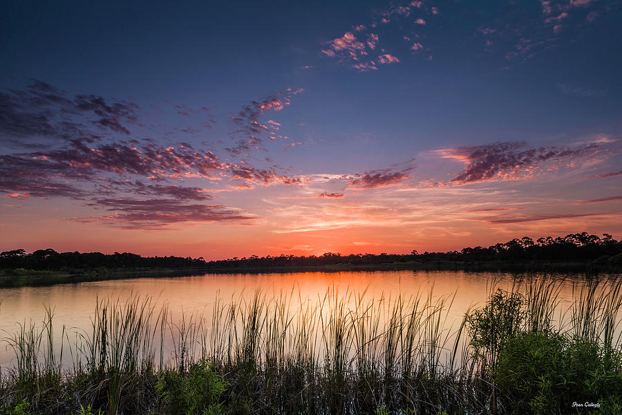 Florida Sunset #1 Photograph by Fran Gallogly