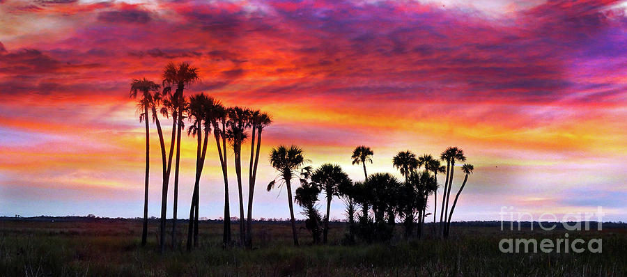 Florida Sunset #1 Photograph by Judi Bagwell