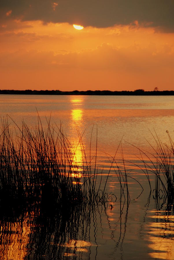 Florida sunset #1 Photograph by Susanne Van Hulst