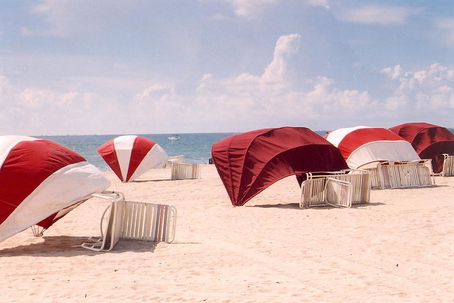 Umbrella Photograph - Florida Umbrellas by Andrea Simon