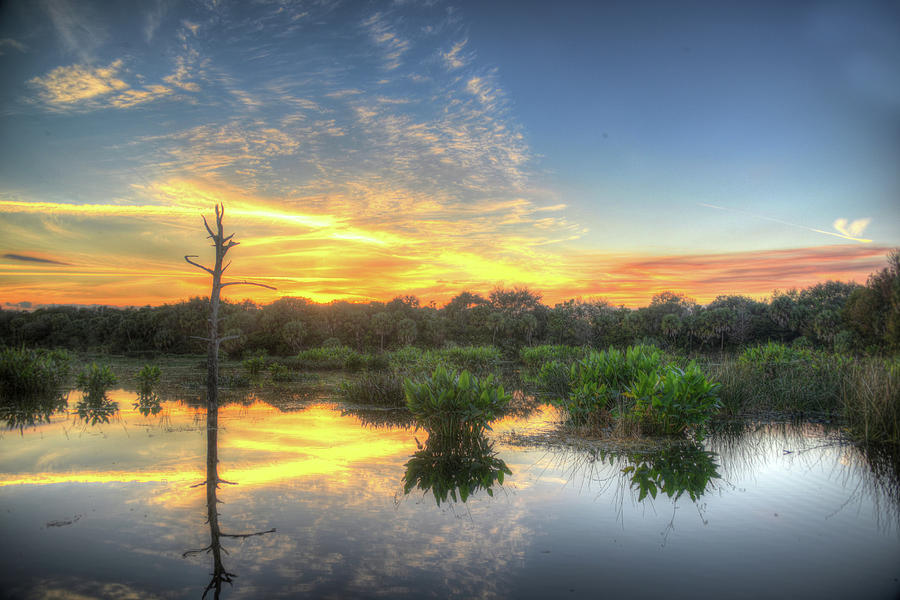 Sunset Photograph - Florida Wetlands Sunset #1 by Allan Einhorn