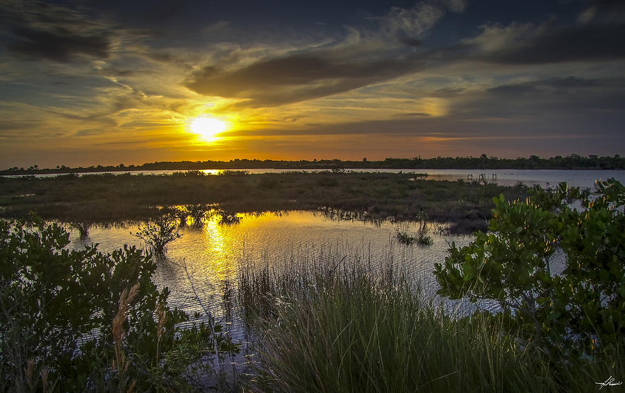Sunset Photograph - Florida Wildlife Sanctuary #1 by Phil And Karen Rispin