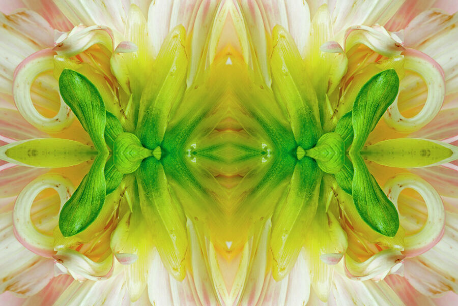 Flower Mandala - 0031-d Photograph by Paul W Faust - Impressions of Light