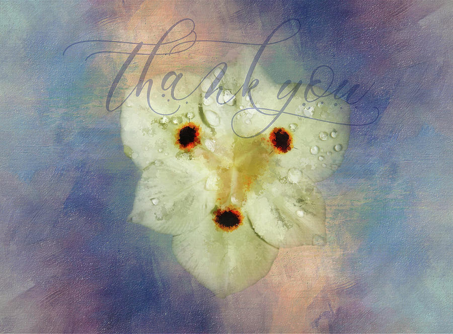 Flower Thank You Digital Art by Terry Davis