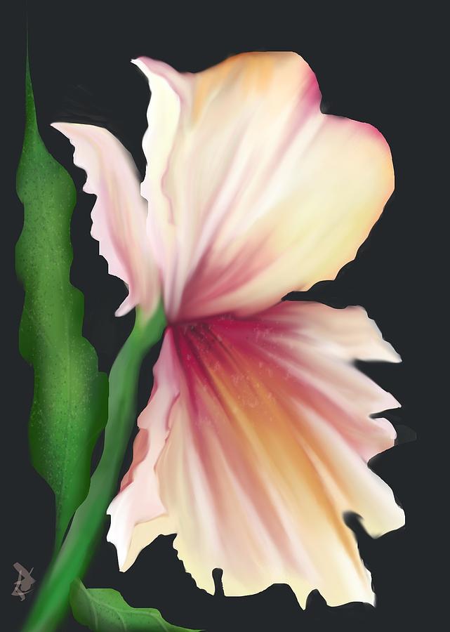 Flower Time #1 Digital Art by Kathleen Hromada