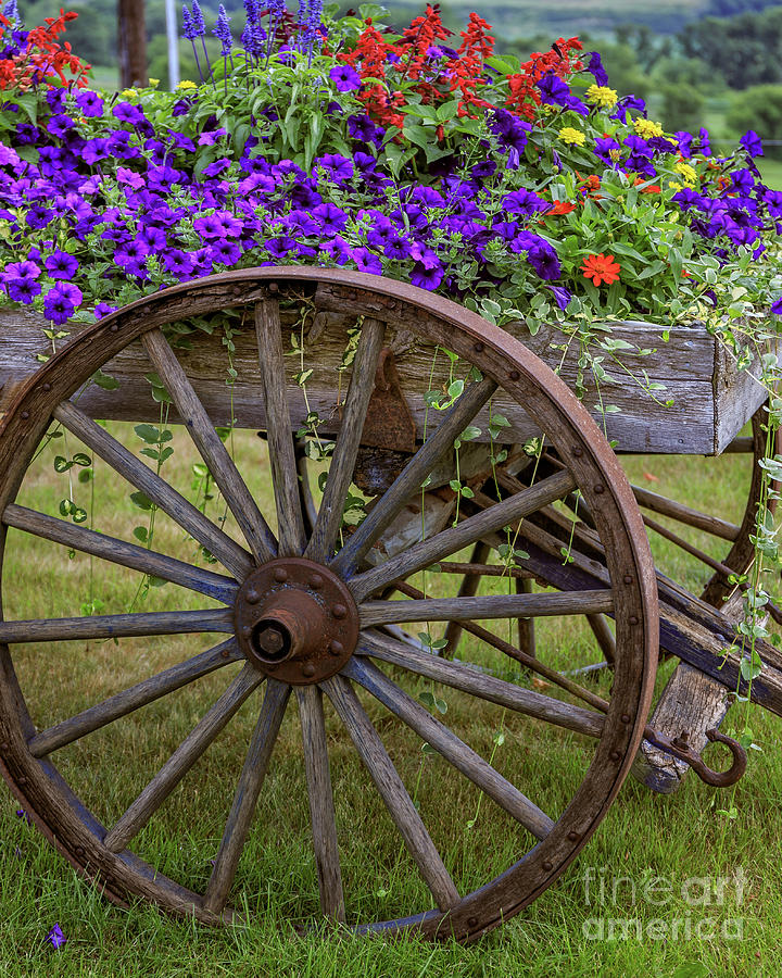 Summer Photograph - Flower Wagon #2 by Edward Fielding