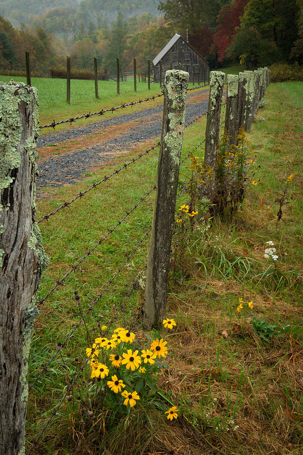 Flowers and Fence #1 Photograph by Joye Ardyn Durham