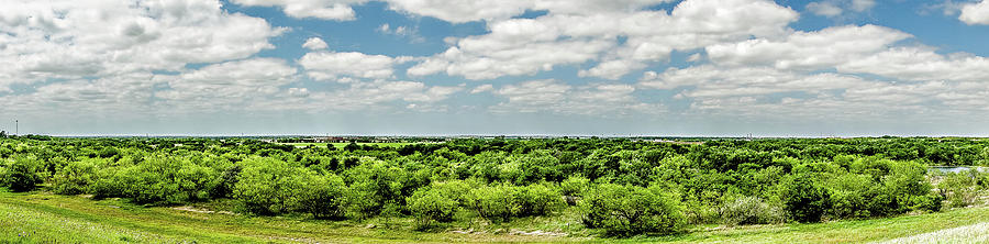 Flowers And Landscapes Along Texas Highway Roadside In Spring #1 Photograph by Alex Grichenko