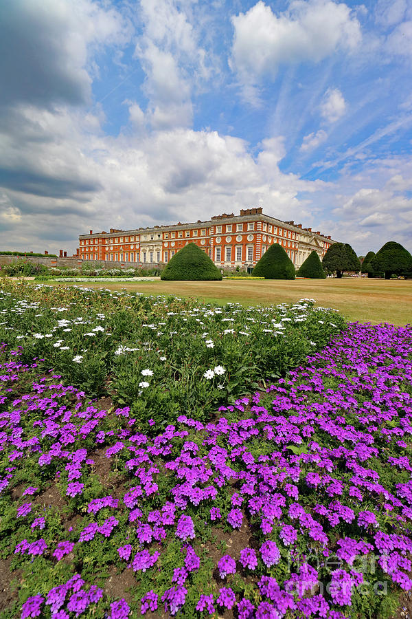 Flowers at Hampton Court Palace London  #1 Photograph by Julia Gavin