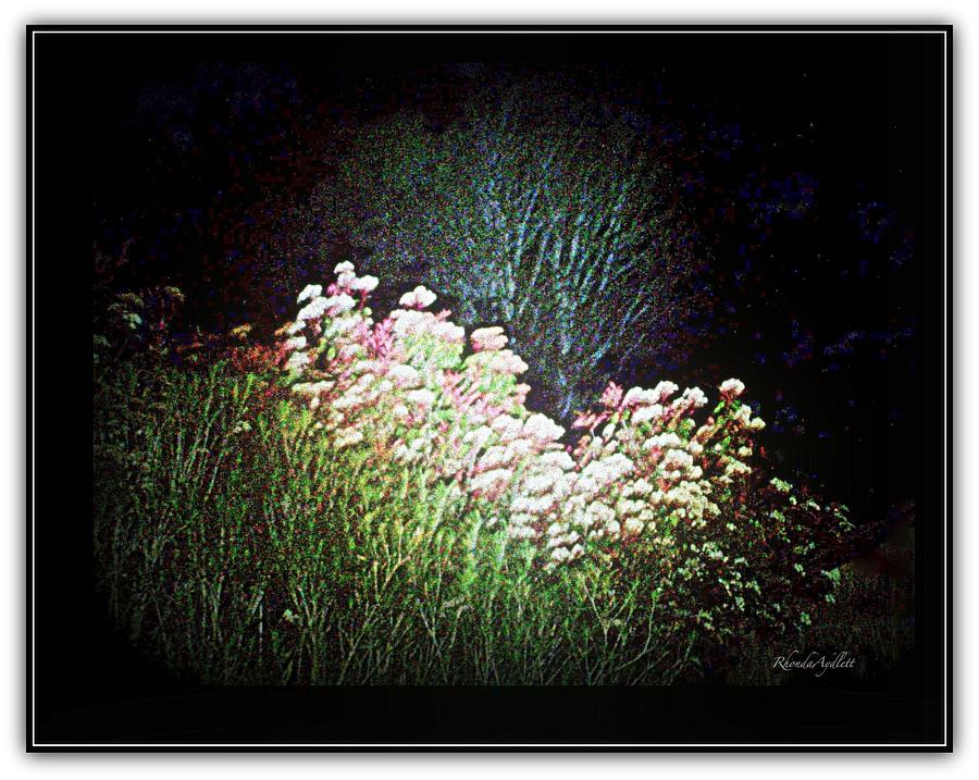 Flowers at Night #1 Mixed Media by YoMamaBird Rhonda