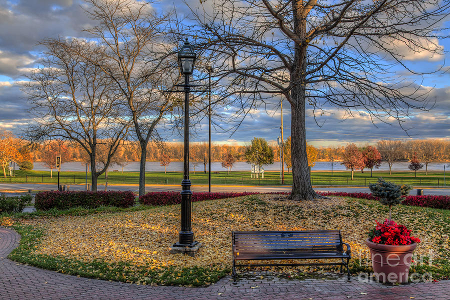 Flower Photograph - Flowers by a Bench. #2 by Larry Braun Flower Photograph - Flowers by a Bench. #2 by Larry Braun
