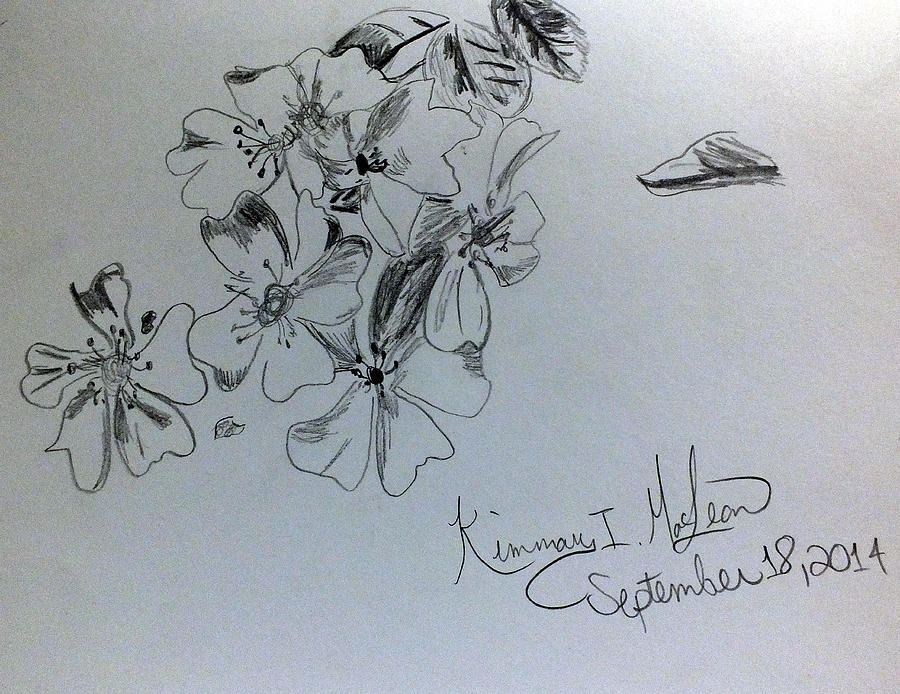 Flowers Sketch 2 #1 Drawing by Kimmary MacLean