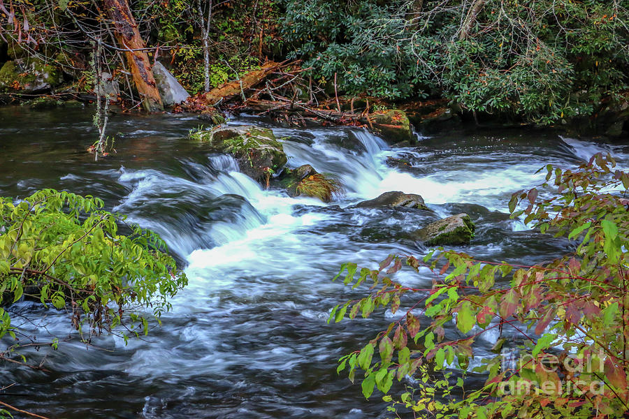 Flowing Mountain Stream #1 Photograph by Tom Claud