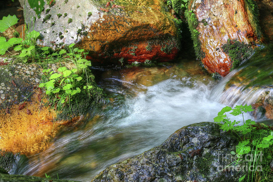 Flowing water between the boulders #1 Photograph by Michal Boubin