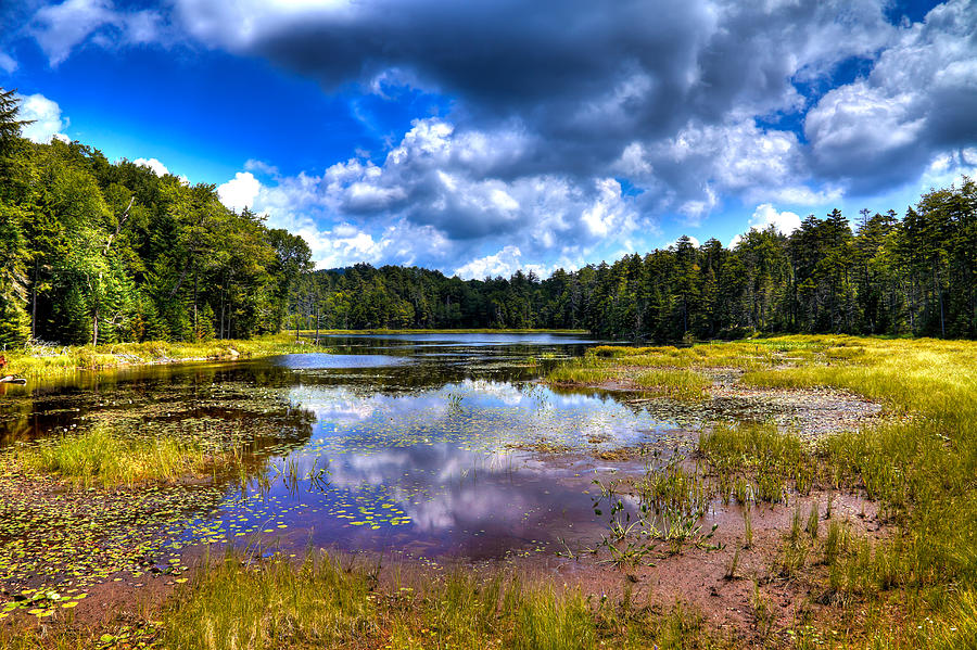 Fly Pond in the Adirondack Mountains #1 Photograph by David Patterson