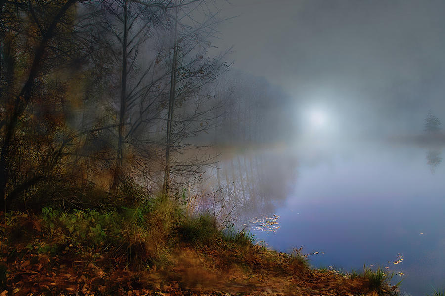 Reflection Lake And Foggy Morning In Jurmala   Photograph by Aleksandrs Drozdovs