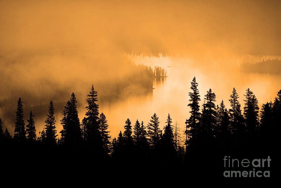 Fog and Isolated Pine Tree on Rugged Mountainside #1 Photograph by Lane Erickson