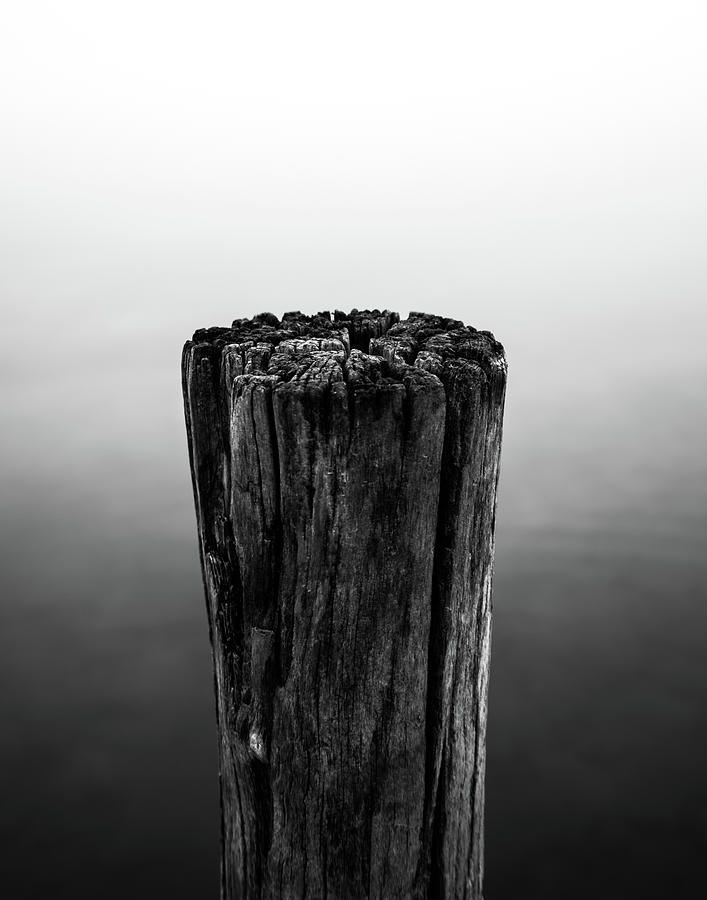 Fog #1 Photograph by Dave Niedbala