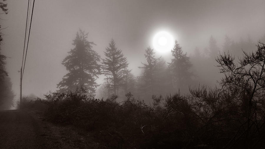 fog #2 Photograph by Mark Alan Perry