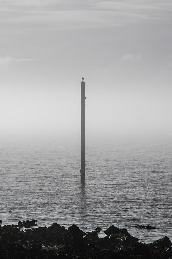 Fog on the Cape Fear River by Willard Killough III Fog on the Cape Fear River by Willard Killough III