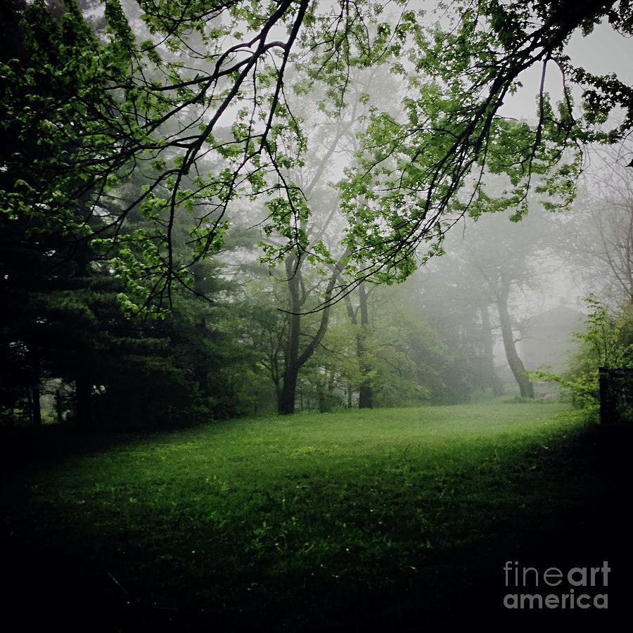 Fog on the Green #1 Photograph by Frank J Casella