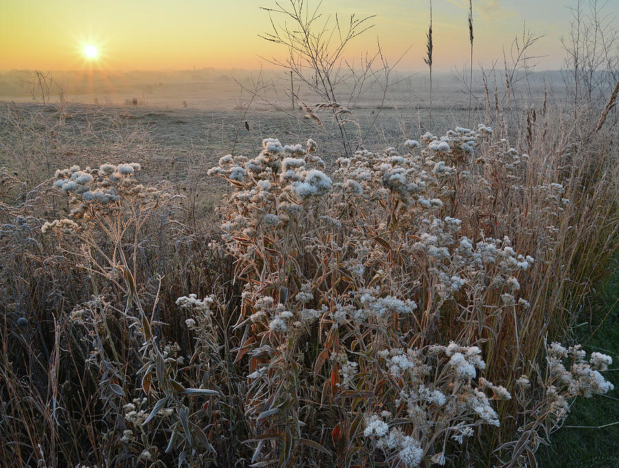 Fog on the Prairie in Glacial Park #1 Photograph by Ray Mathis