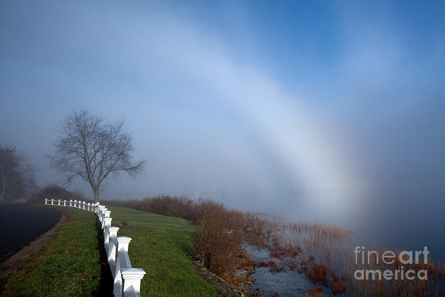 Fogbow #1 Photograph by Butch Lombardi