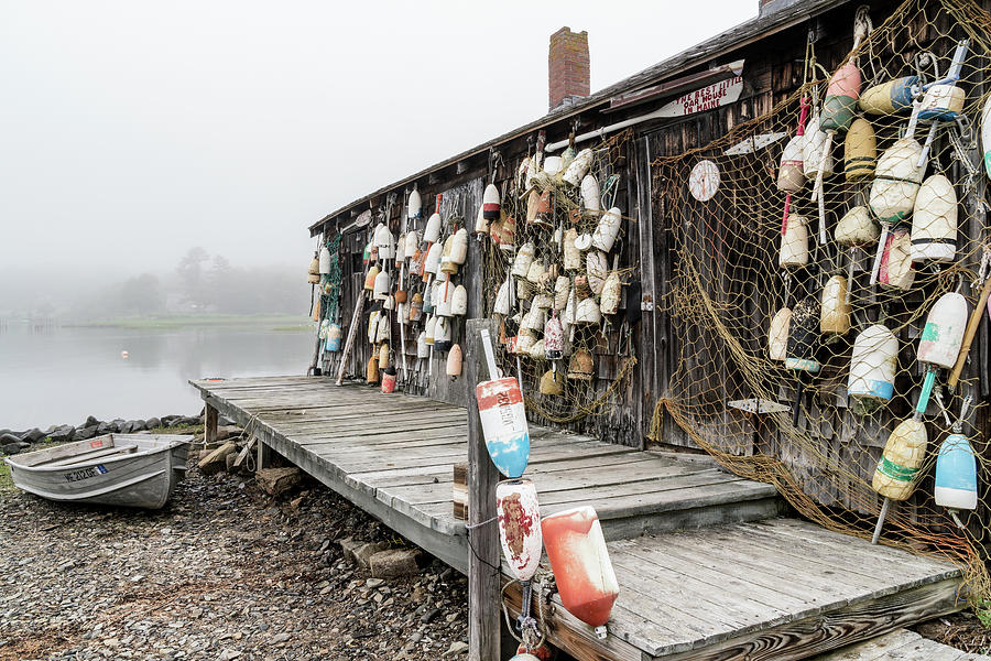 Foggy Day at the Lobster Pound #1 Photograph by Dawna Moore Photography