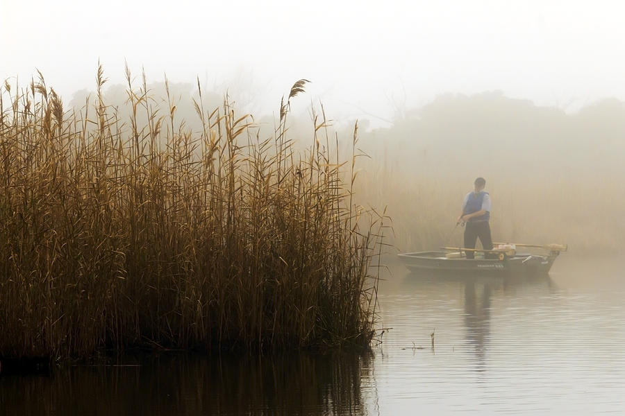 Foggy Fishing #1 Photograph by Travis Rogers