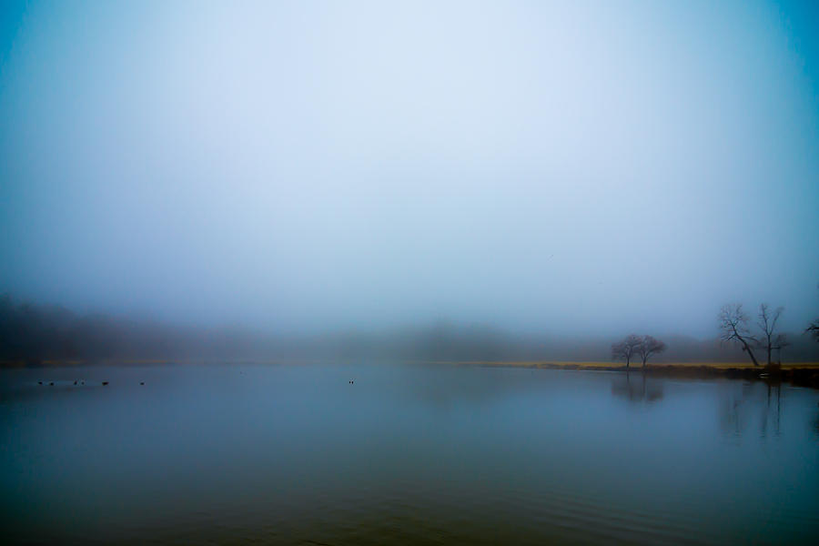 Foggy Morn #1 Photograph by David Downs
