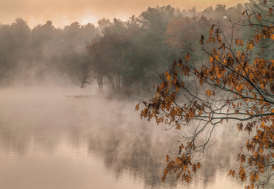 Foggy morning #1 Photograph by Jane Luxton