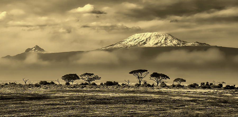 Foggy Morning - Kenya Photograph by Mountain Dreams - Fine Art America