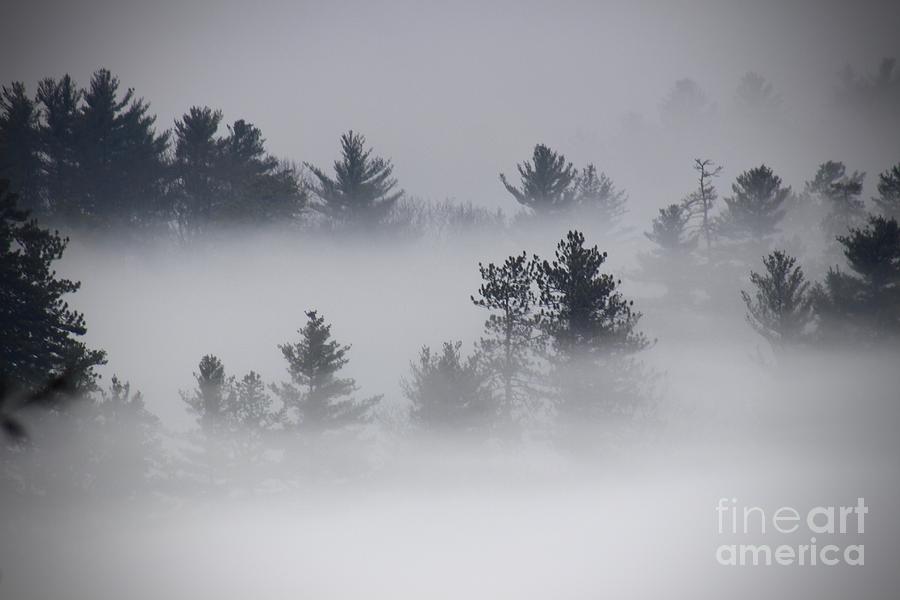 Foggy Mountains #1 Photograph by Deena Withycombe