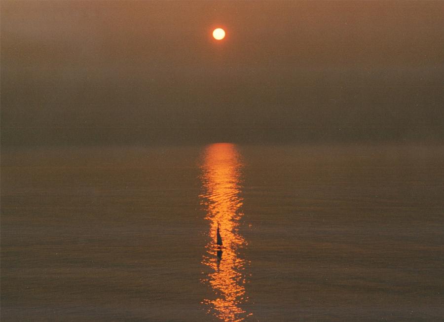 Foggy Sunrise on Virginia Beach #1 Photograph by Lila Mattison