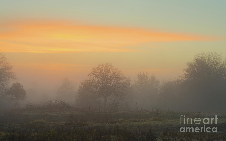 Foggy Sunrise #1 Photograph by Sari ONeal