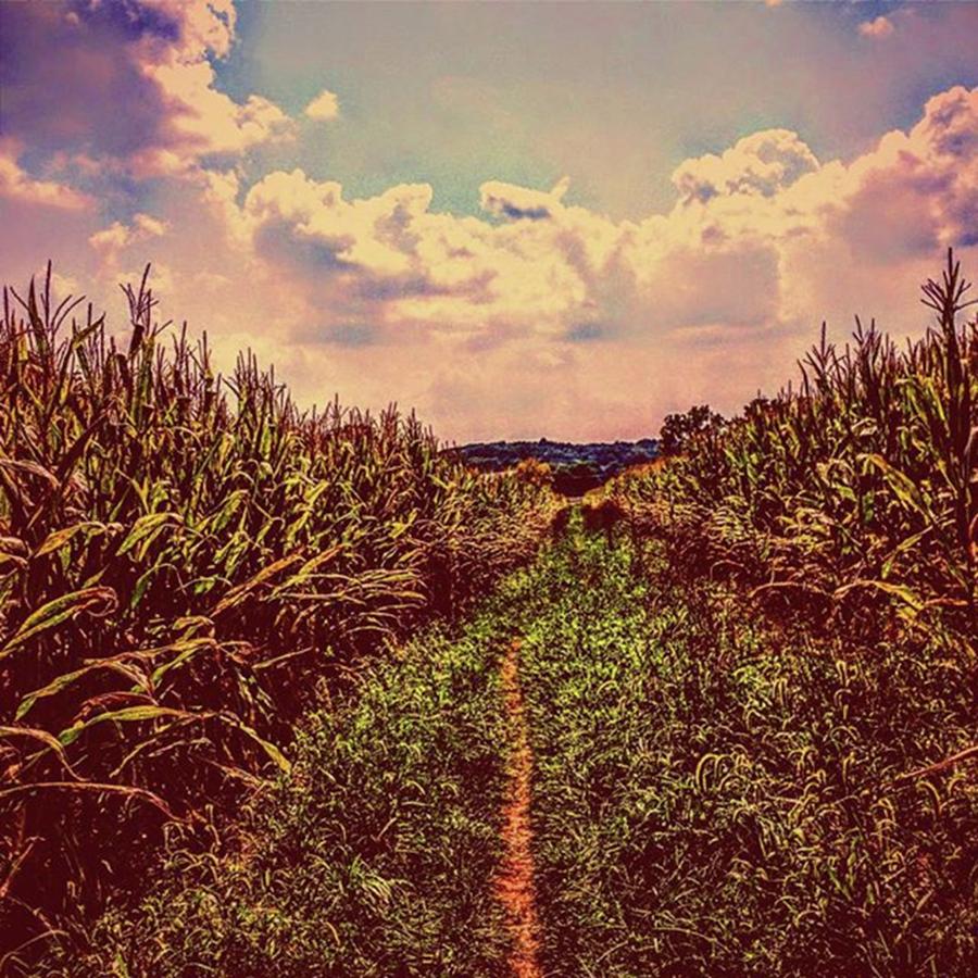 Appalachiantrail Photograph - Follow The Yellow Dirt Road #1 by Paul Kercher