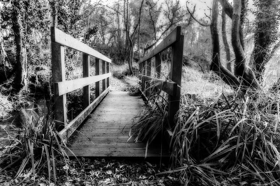Foot Bridge in Winter #1 Photograph by Nick Bywater